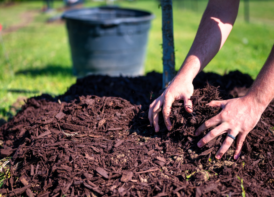 5 Reasons Why Maryland Homeowners Should Mulch in the Fall