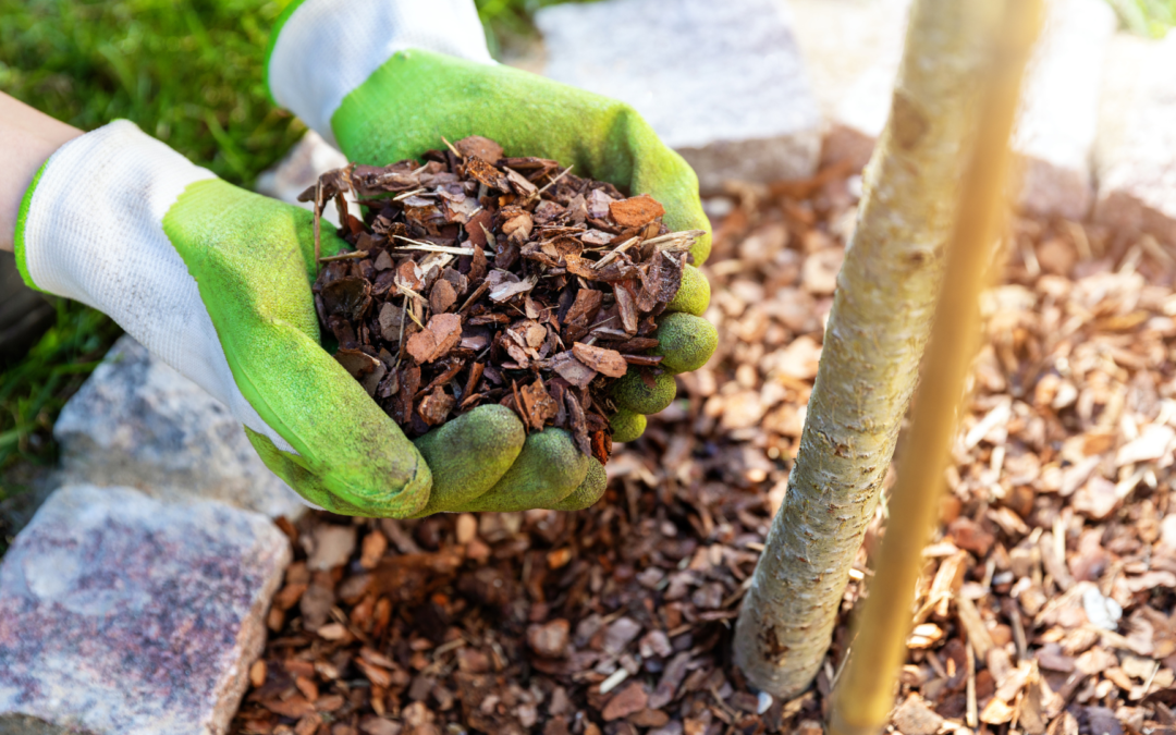5 Reasons To Schedule a Mulch Delivery in Glyndon, MD