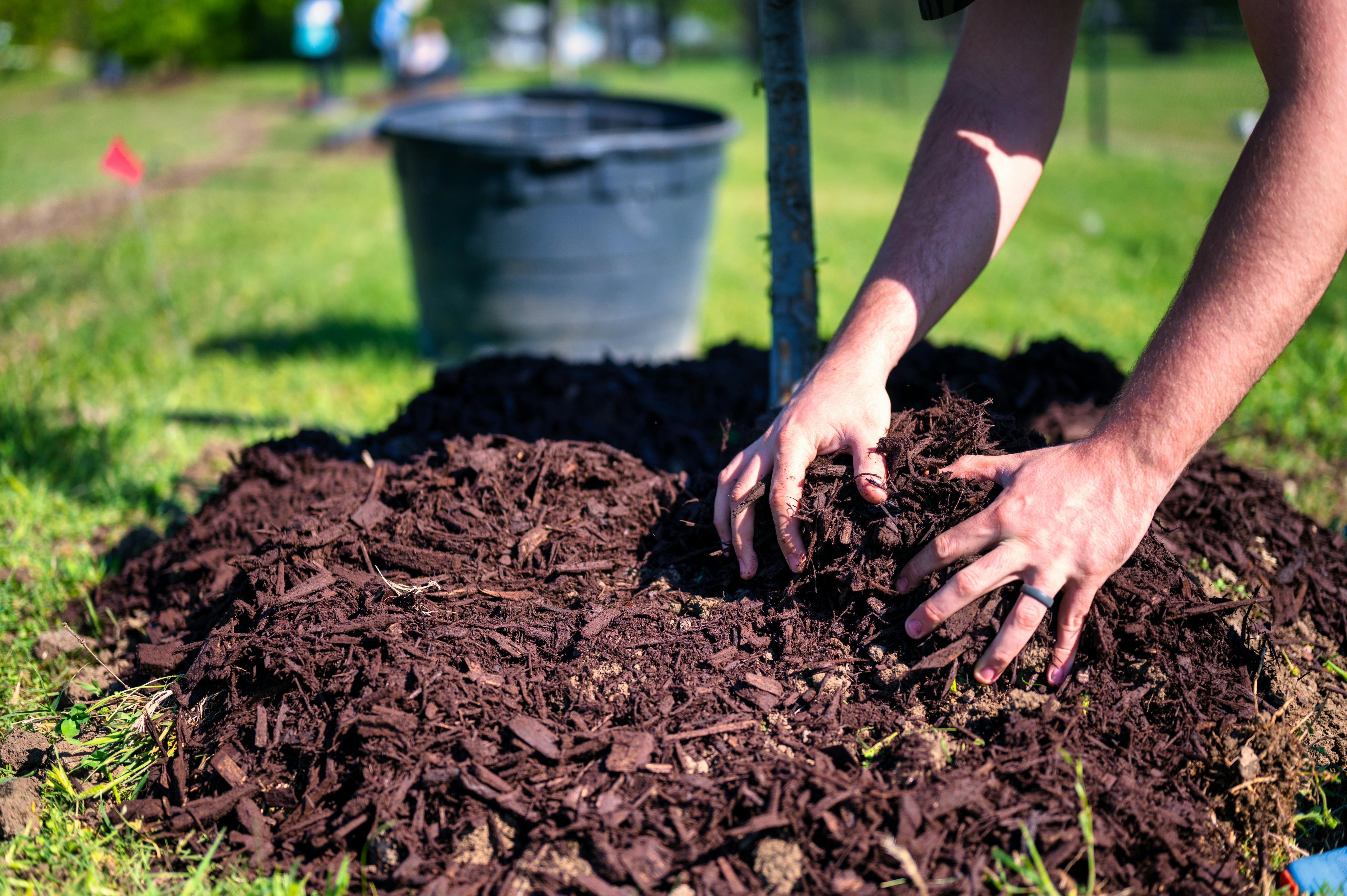 How Long Does Mulch Take To Decompose