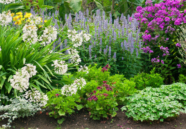 The Best Type of Mulch for Gardens in Maryland